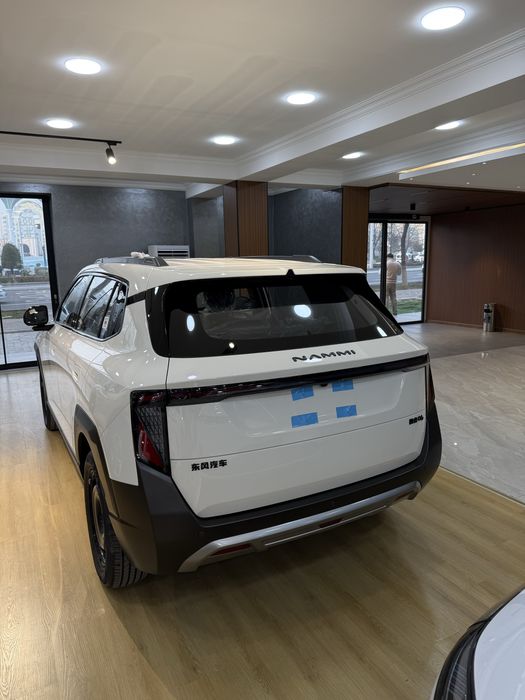 DongFeng Nammi 06