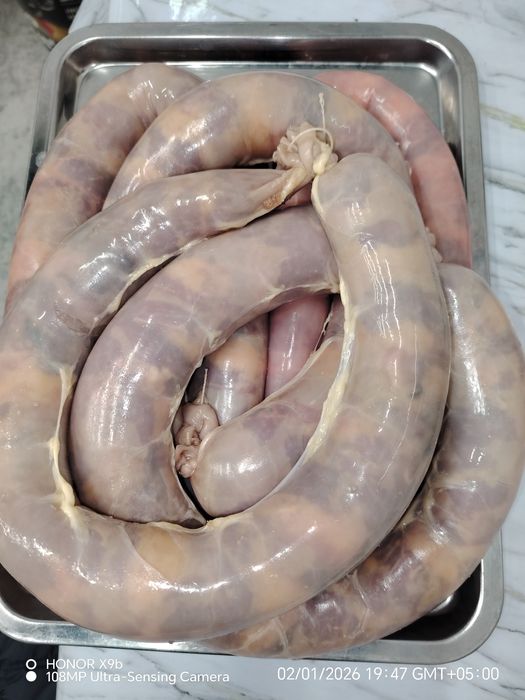 Продаю шужык казы