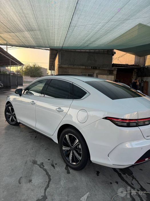 Byd Chazor gibrid