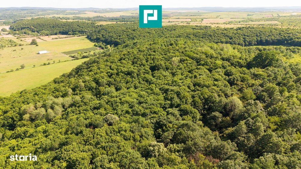Teren Agricol Extravilan  22.900 Mp Lipova