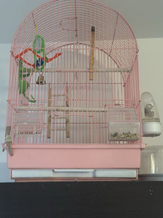 Vand nimfa cu tot cu cusca