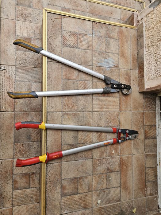 foarceci wolf  ramuri groase