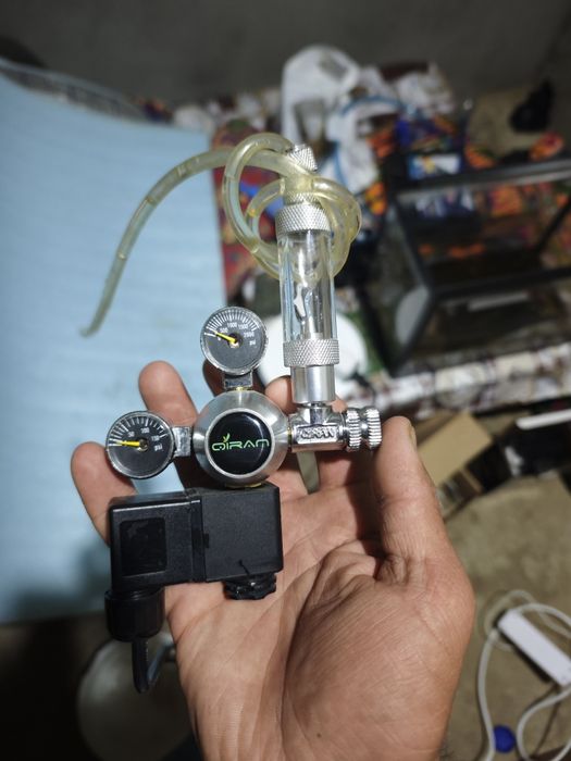co2 для аквариум akvarium baliq рибы растения oʻsimlik suv oʻti neon
