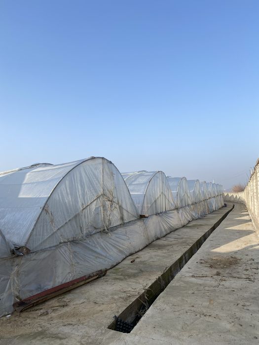 Теплица аренда