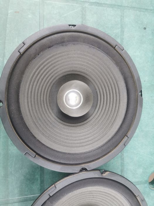 Difuzoare 10 inch Altai Taiwan