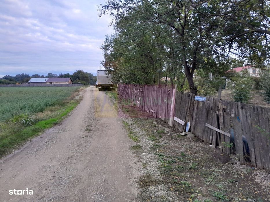 De Vanzare Teren 2000 Mp  -  Cosereni( Il )