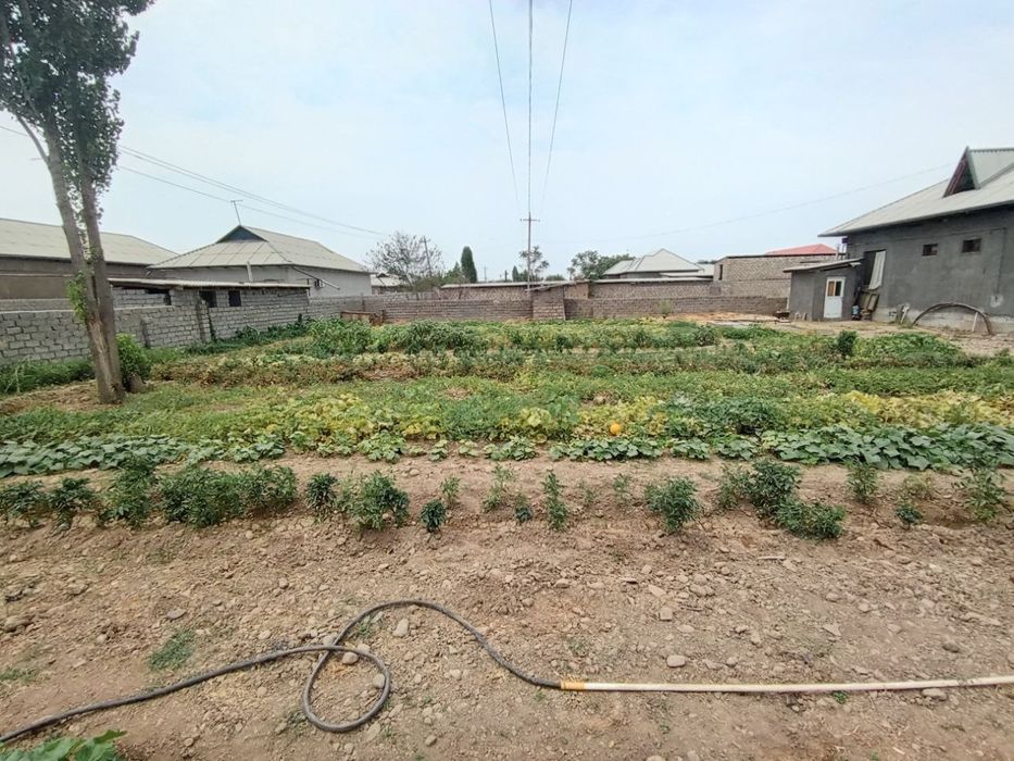 Olmaliq shaxar evalak mahallada 4 sotik yer sotiladi