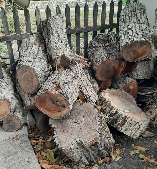 Продам на дрова спил ореха.