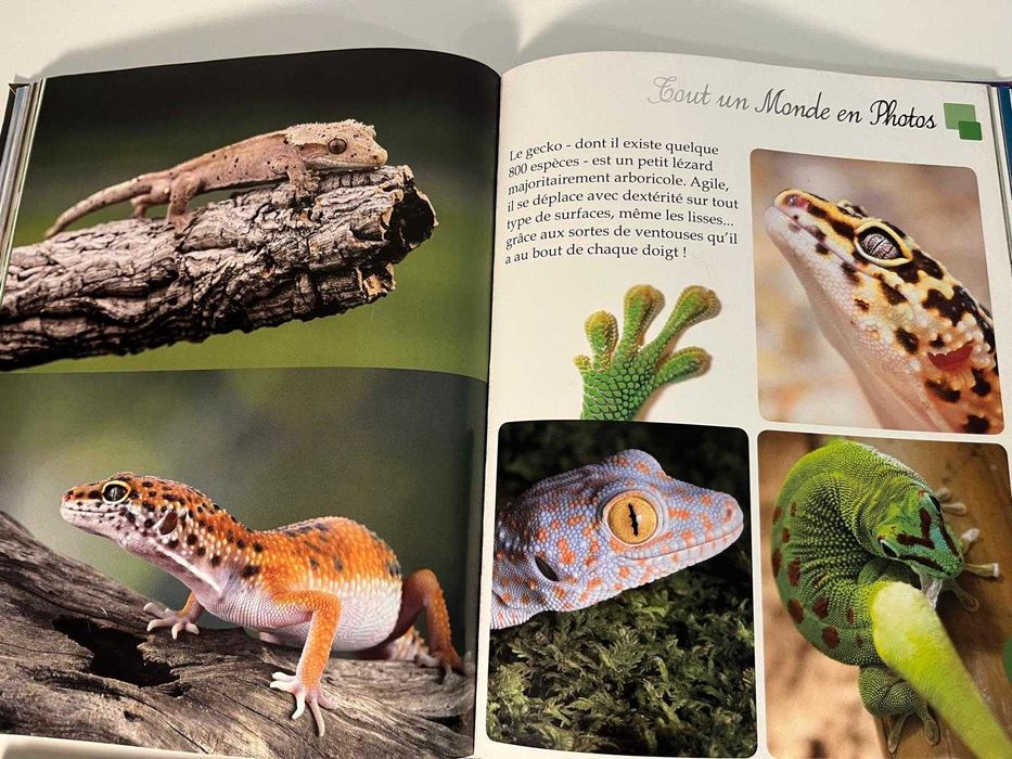 Pachet 6 carti in limba franceza pentru copii - 65 lei