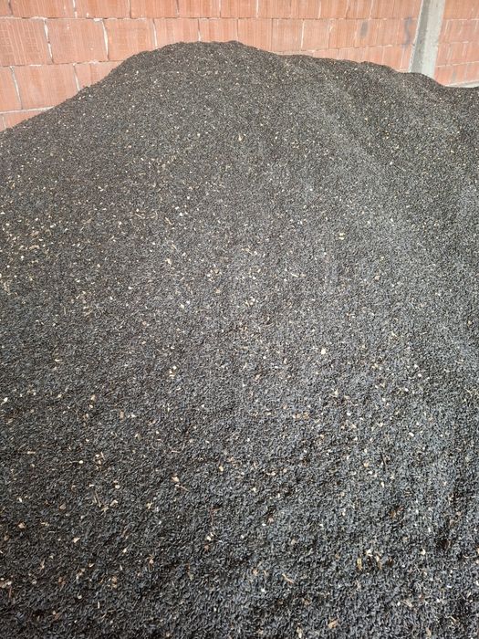 Vand porumb ,triticale si floarea soarelui