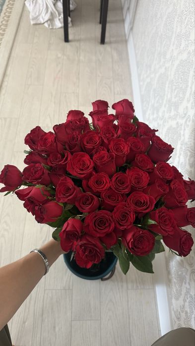 Розы 51 штук …………