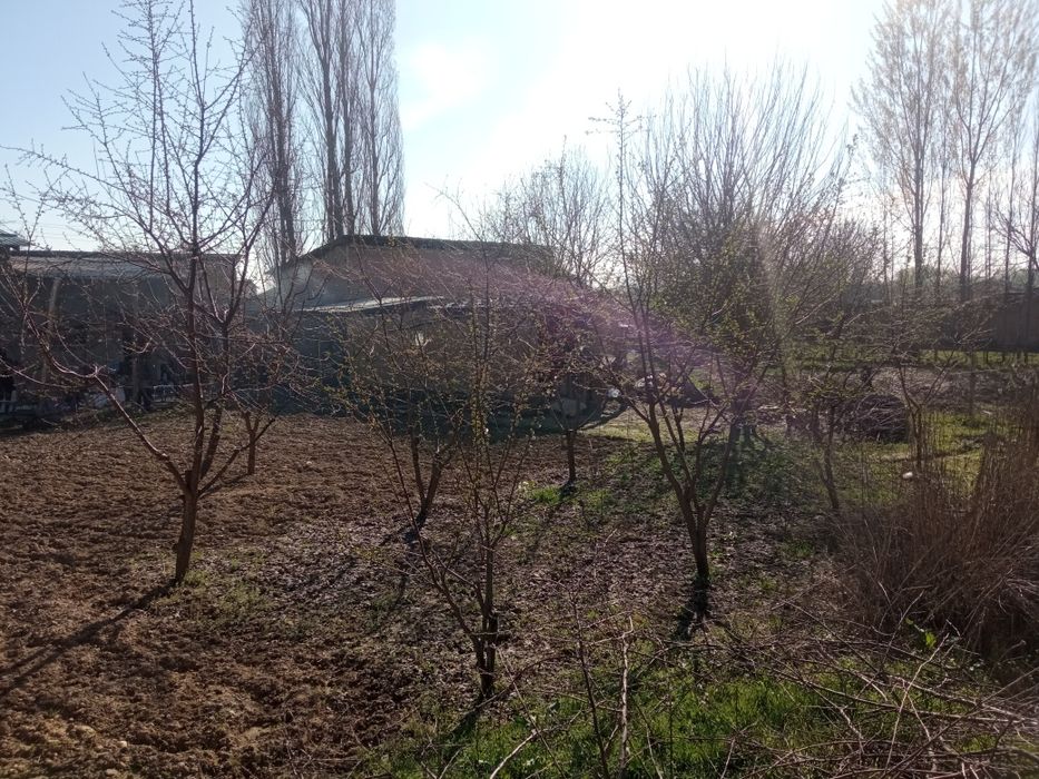 UY sotiladi Arzon narxda