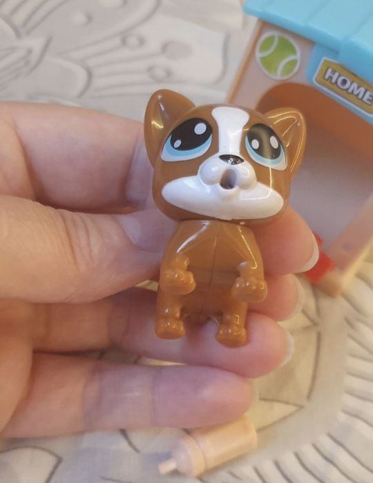 куче с бутилка , зайче и пиленце