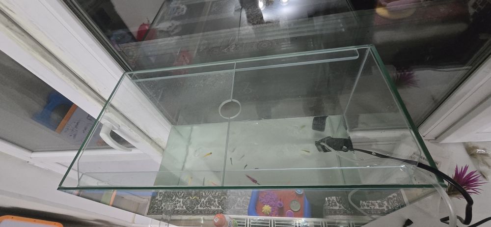 Аквариум с рыбками