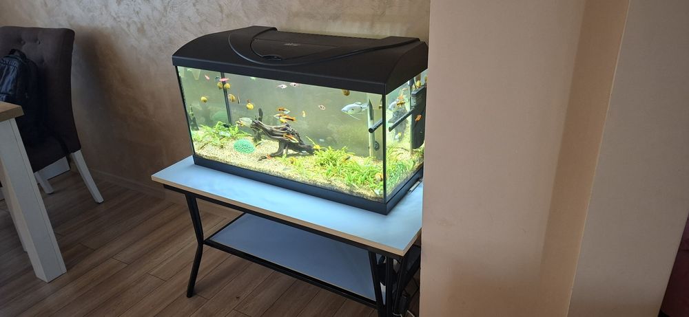 Аквариум Diversa Led 80