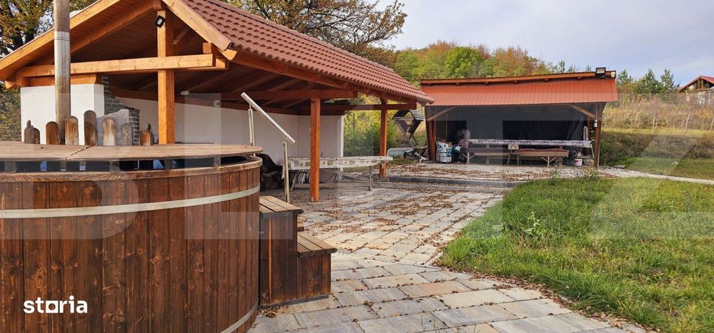 Casa de vanzare, sub padure, intr-un cadru natural deosebit – Sancra