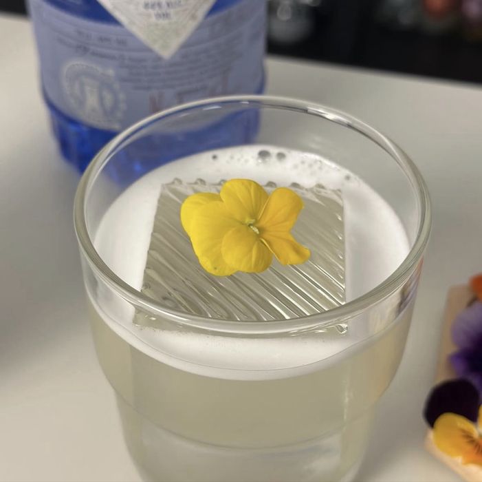 Vand afacere la cheie ( productie de gheata si mixuri de limonada )