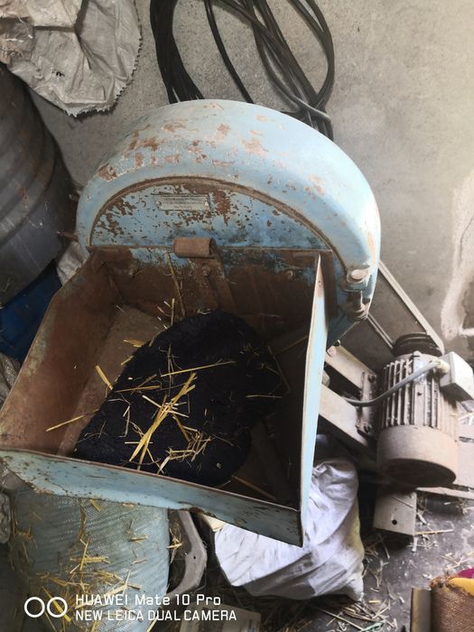 Роначка с чукове