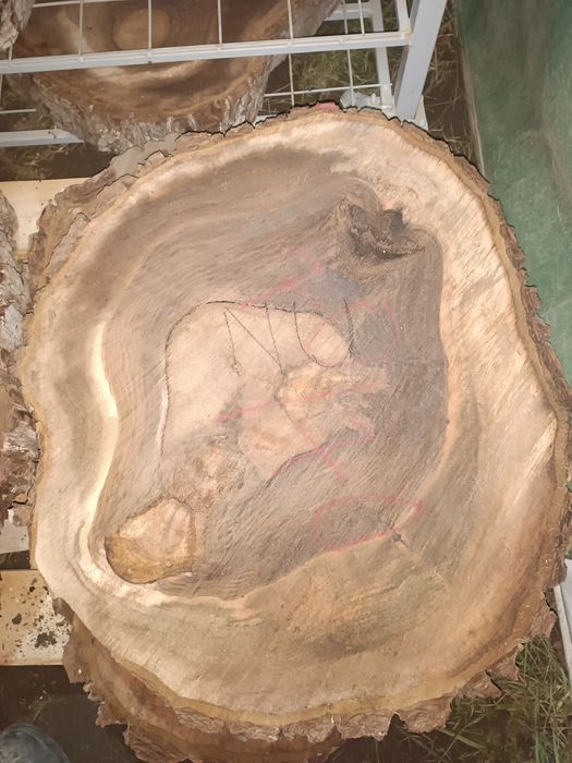 Rondele felli din lemn de nuc