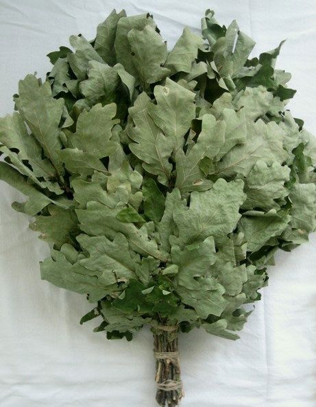 Веники дубовые, для сауны , бани, большие , плотные.