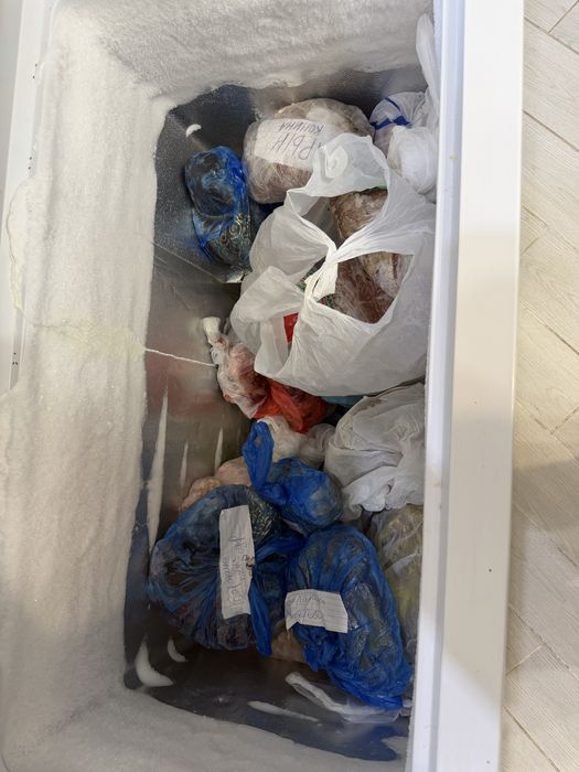 Сундук морозильник Hisense бу