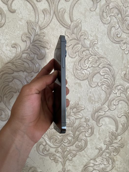 Iphone 13 pro max ideal