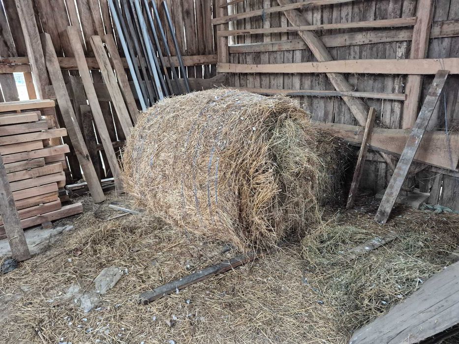 Vând baloti de lucerna