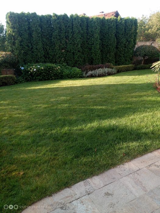 ОЗЕЛЕНЯВАНЕ, поддръжка