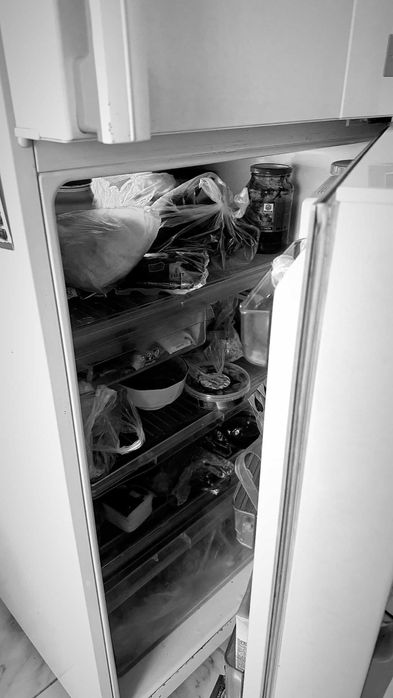 Холодильник для дома