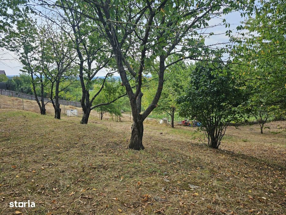 Teren Exceptional 1719 Mp Cu Helesteu De Peste Semi Central Iasi