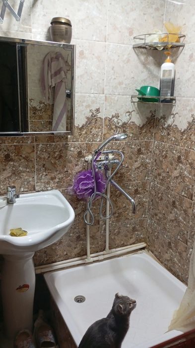 Arenda qizlarga sheriklika