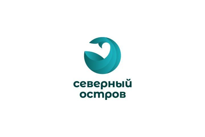 Профессиональный Дизайн