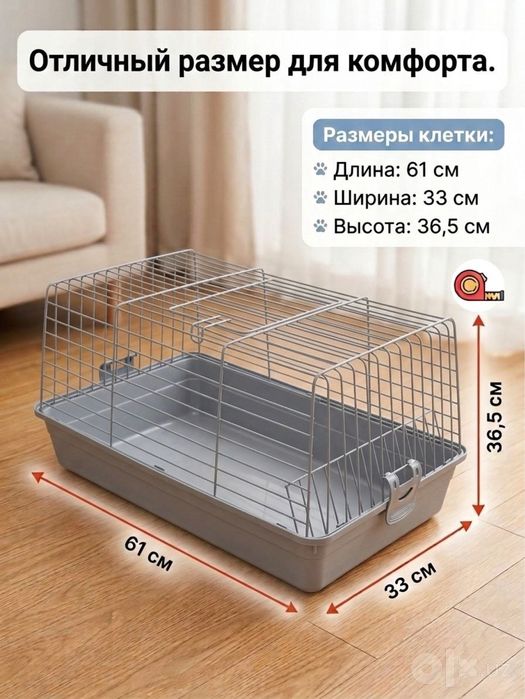 Quyon кролик dekorativni karlik 1-dona idishi bilan komplekt 400-min