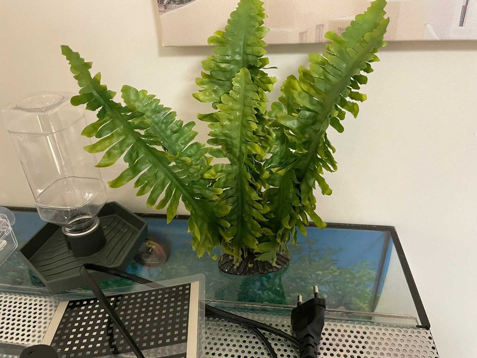 Терариум за гекон/гущер 60х30х30 с 2 нагреватея, купички и укрития