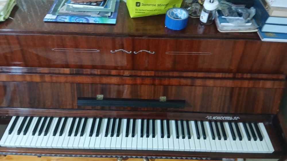 Пионинв музыкальная