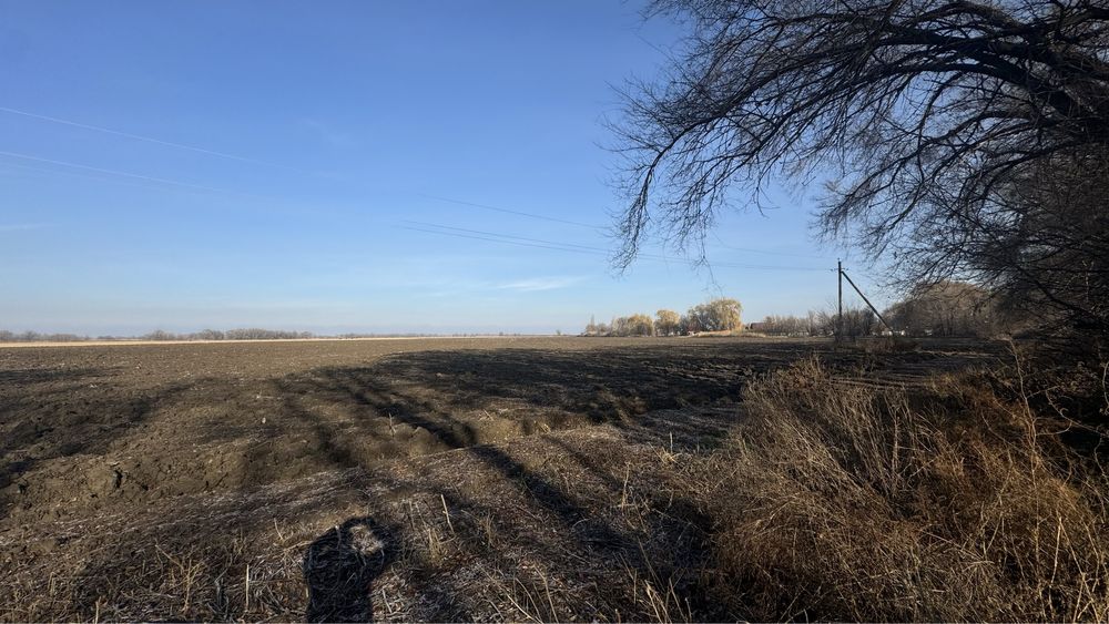 Продам крестьянское хозяйство