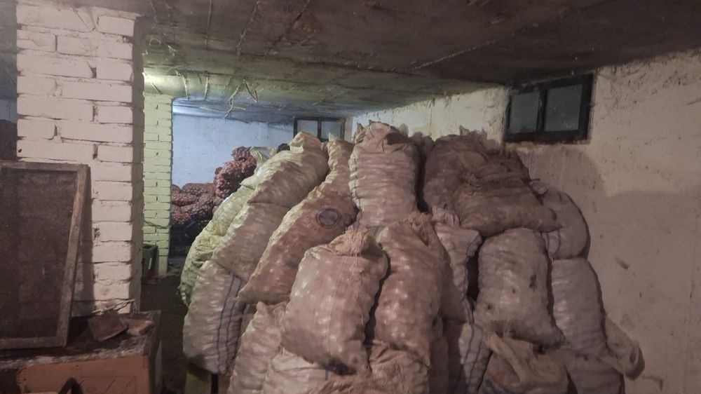 Vând cartofi animale