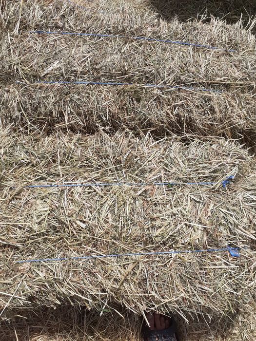 Vând baloți de fân