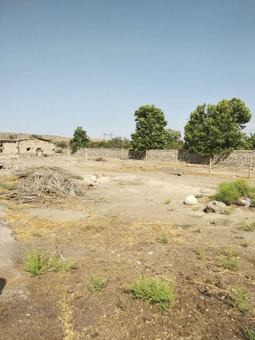 Хусусий ферма сотилади