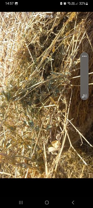 Lucernă  de vanzare