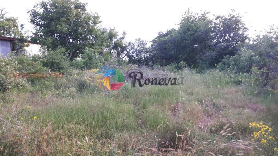 Парцел за строеж или инвестиция ,с.Кранево