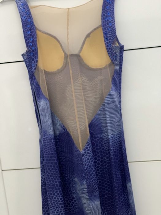 Rochita Laura Olteanu