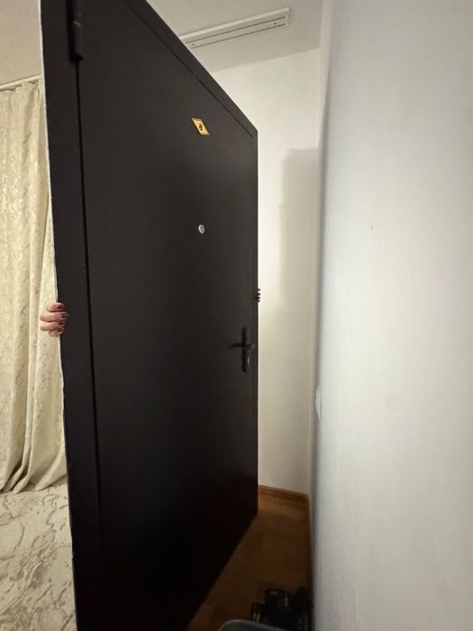 Дверь входная железная