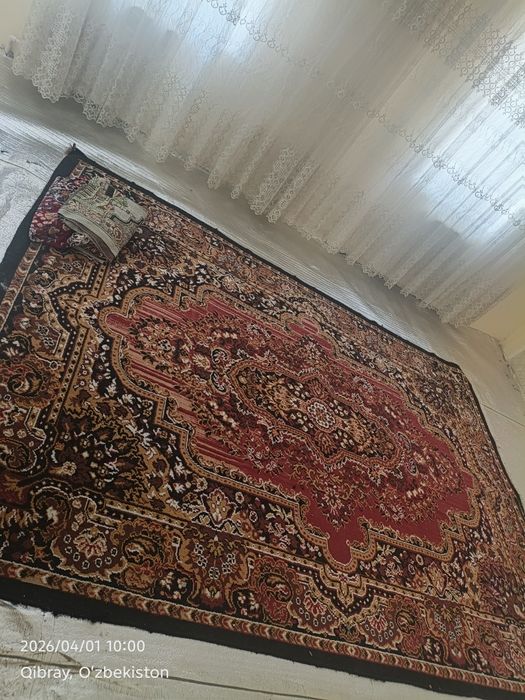 Kavartira qibrey sentiridan faqat qizla un 600mindan