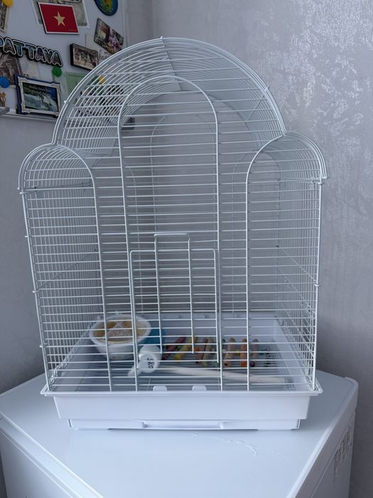 Продам клетку для попугая