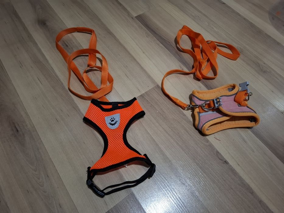 Раздача вещей для котят и кошек