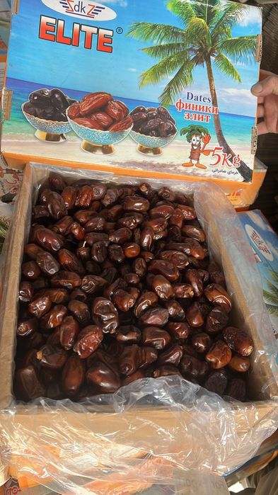 Құрма,  финики,  курма