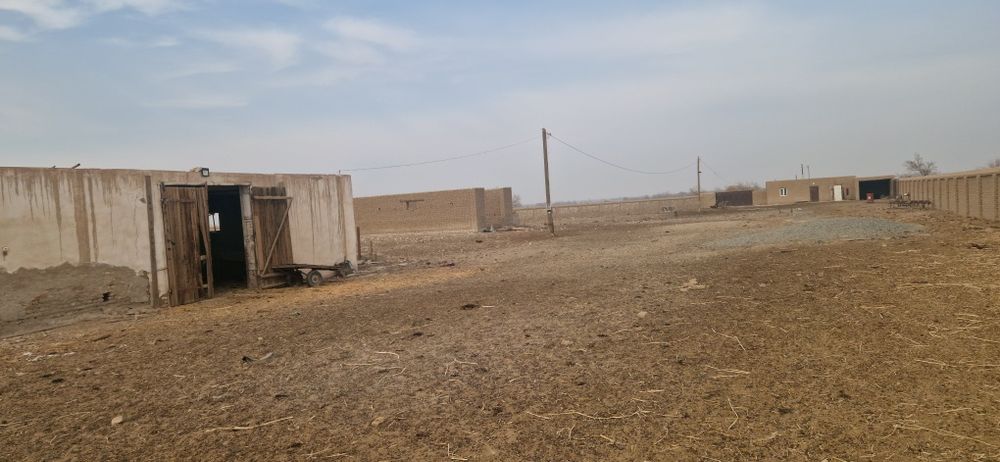 Ферма биноси сотилади