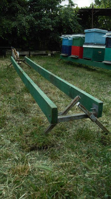 Stupina 4 familii albine si 20 lazi