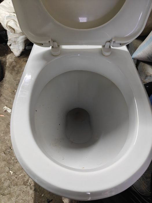Унитаз целый без бачка.